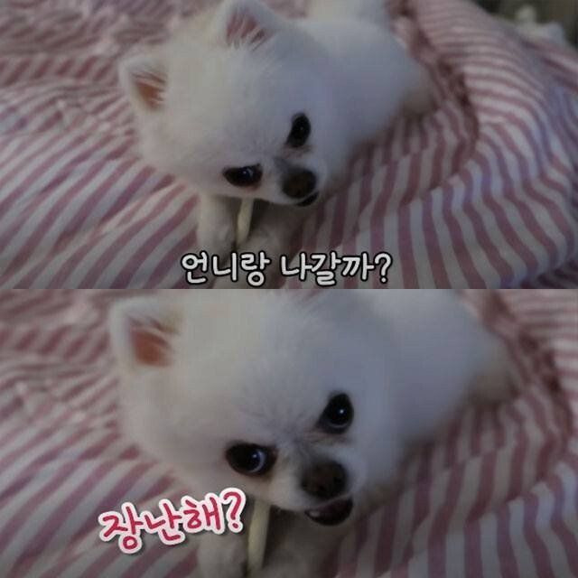 24post.co.kr_003.jpg