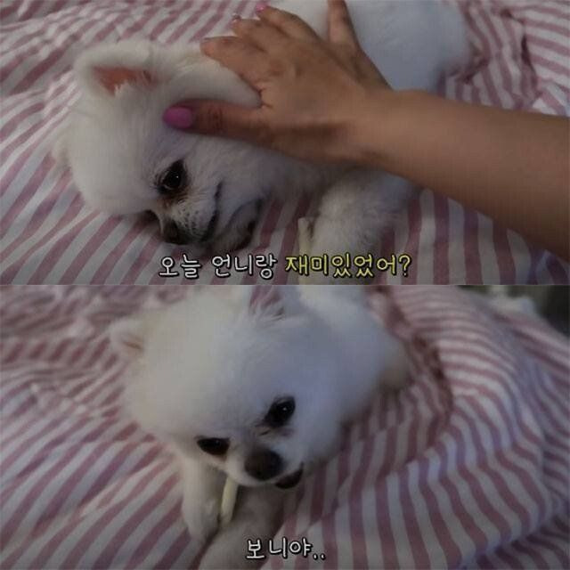 24post.co.kr_002.jpg