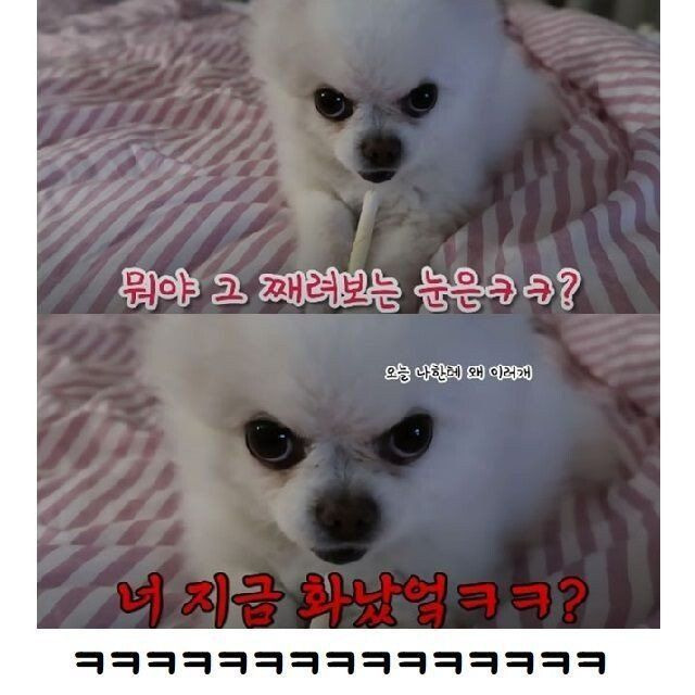 24post.co.kr_004.jpg
