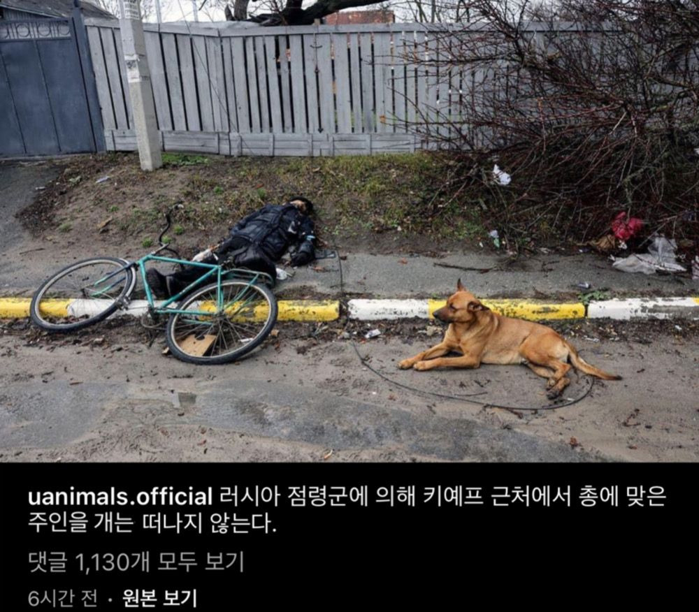 24post.co.kr_002.jpg