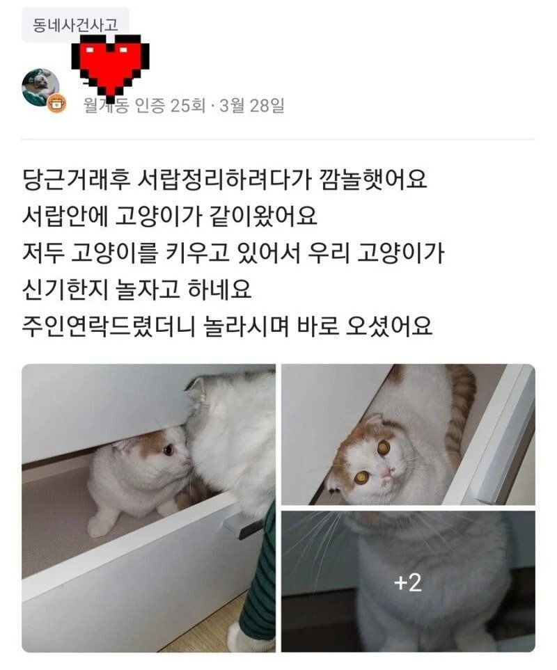 vtVjS (1).jpg.ren.jpg