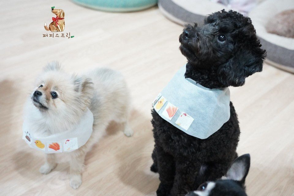 24post.co.kr_019.jpg