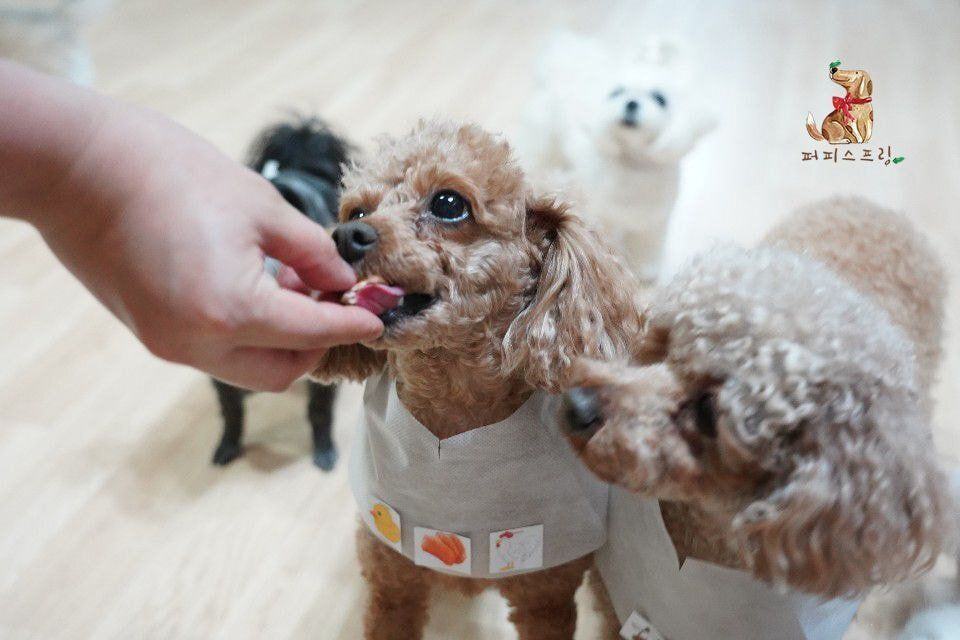 24post.co.kr_018.jpg