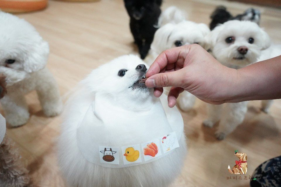 24post.co.kr_017.jpg
