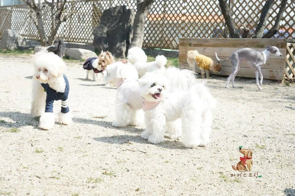 24post.co.kr_002.jpg