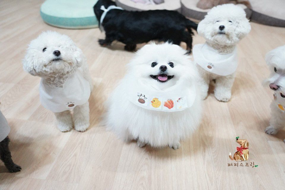 24post.co.kr_016.jpg