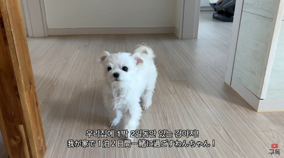 김짤.com_003.jpg