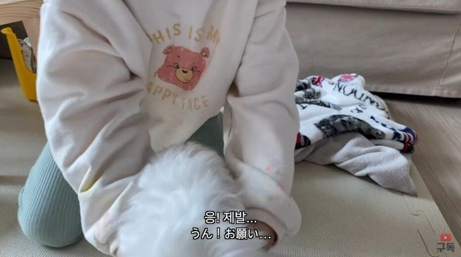 김짤.com_012.jpg