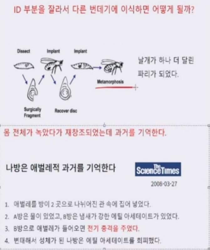 김짤.com_007.jpg