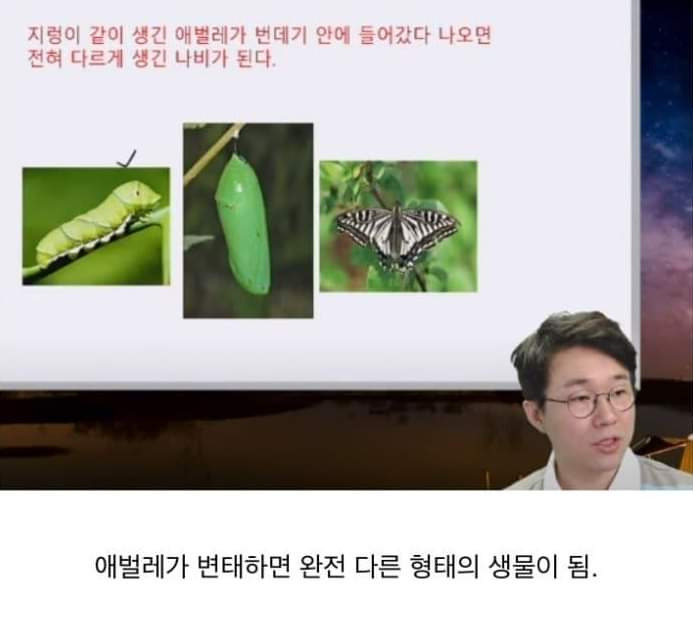 김짤.com_001.jpg