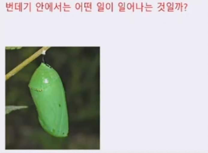 김짤.com_003.jpg