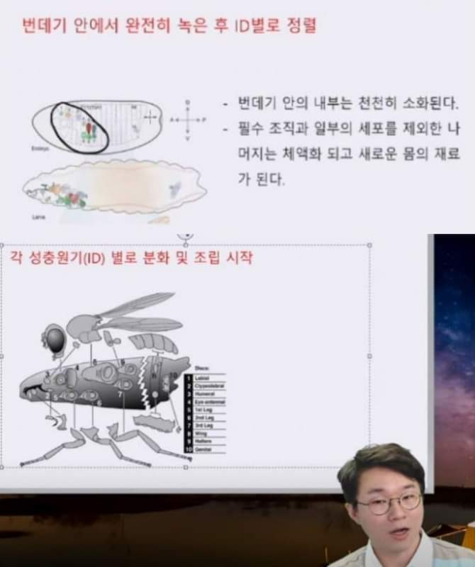 김짤.com_006.jpg