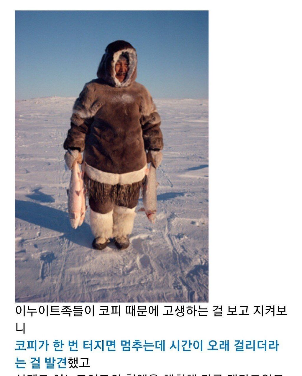 s001.jpg