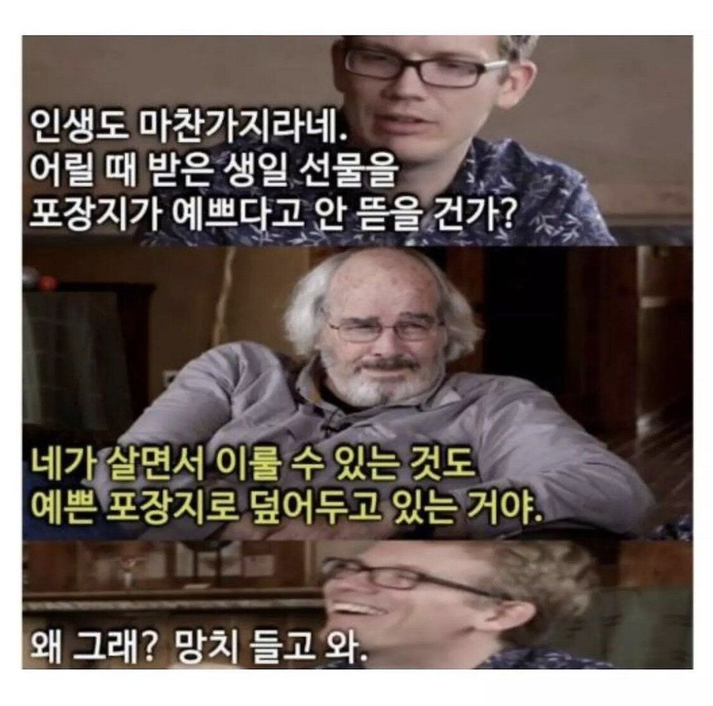 김짤.com_006.jpg