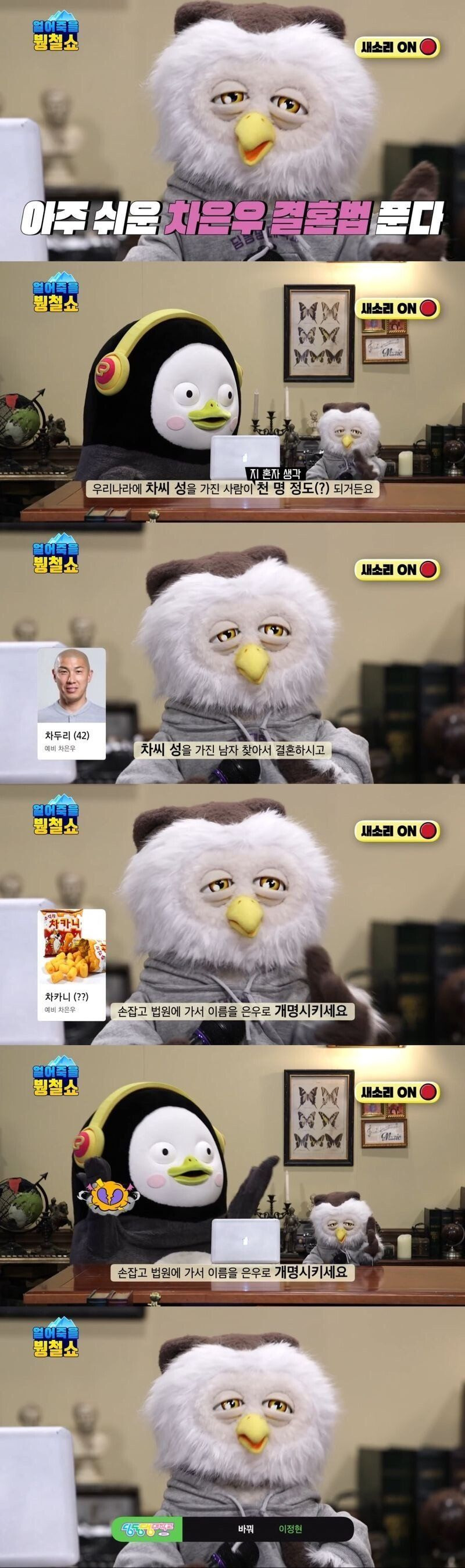 s003.jpg