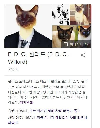 a2.webp.jpg