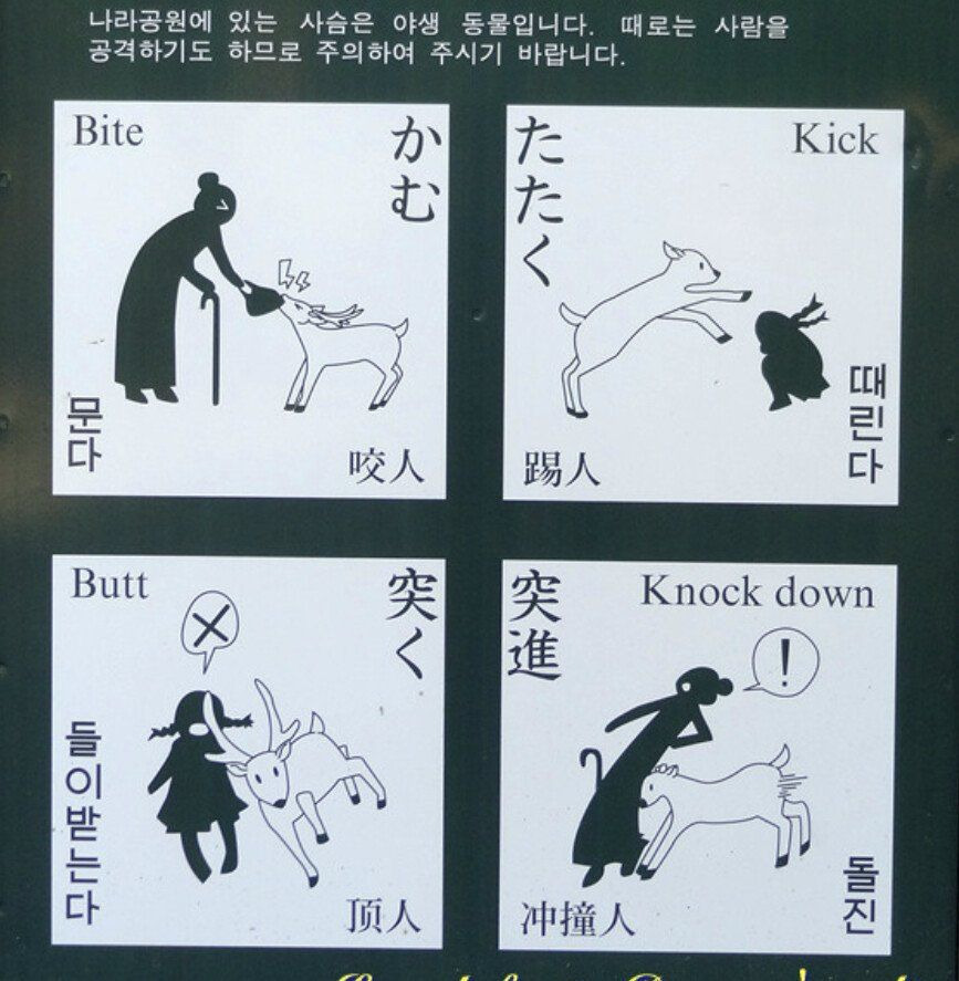 김짤.com_001.jpg