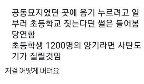 공동묘지 터에 초등학교 짓는 이유1.jpg