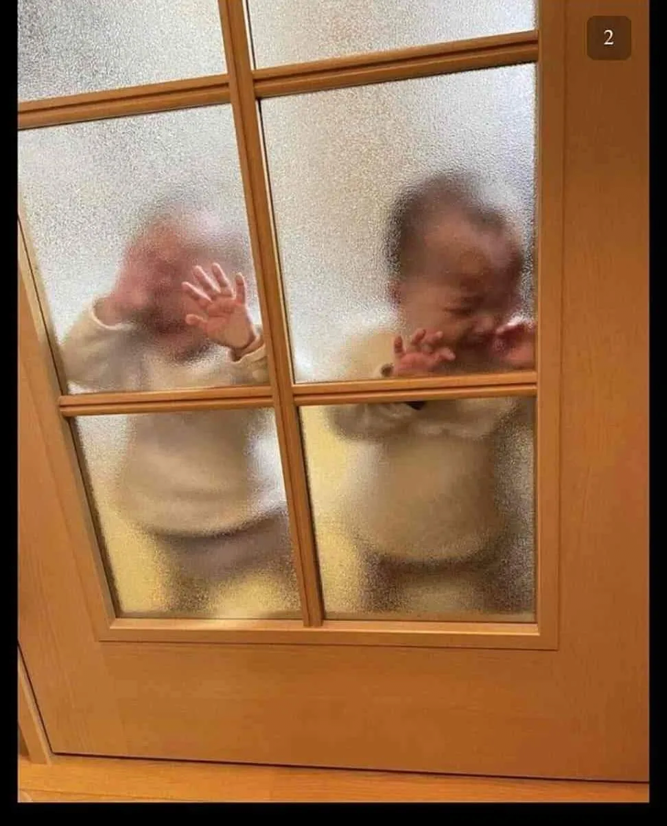 김짤.com_002.png