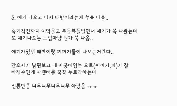 김짤.com_005.png