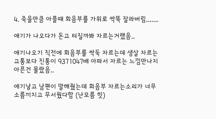 김짤.com_004.png
