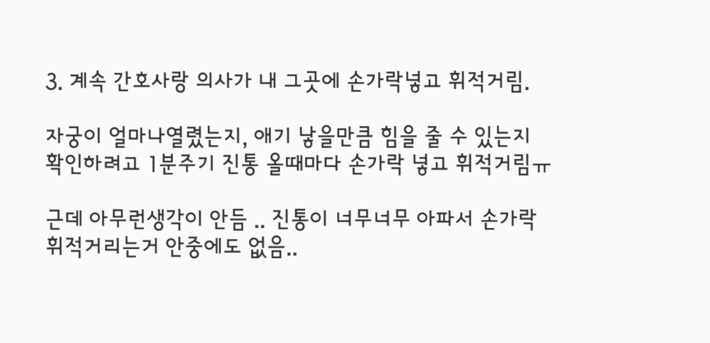 김짤.com_003.png