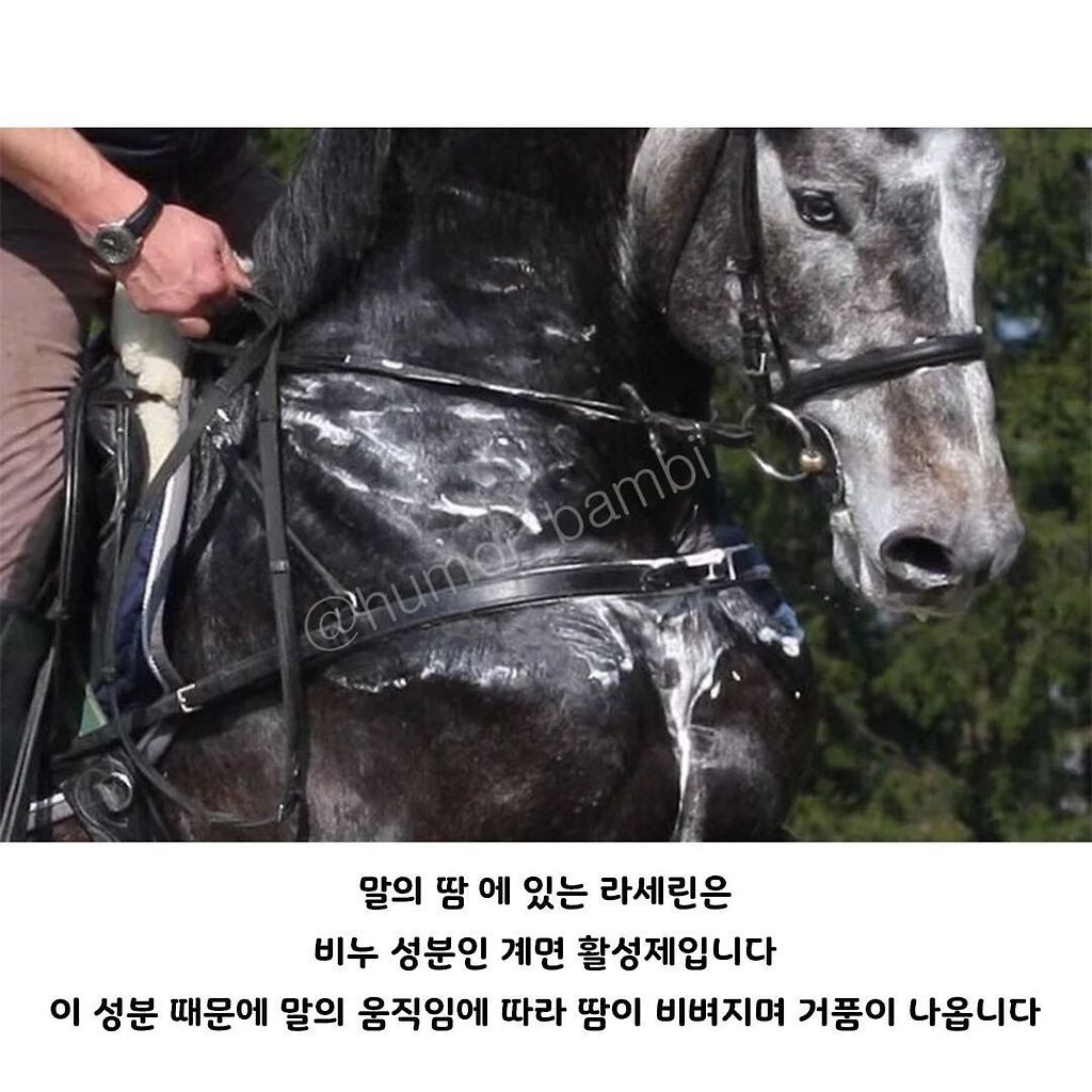 24post.co.kr_002.jpg