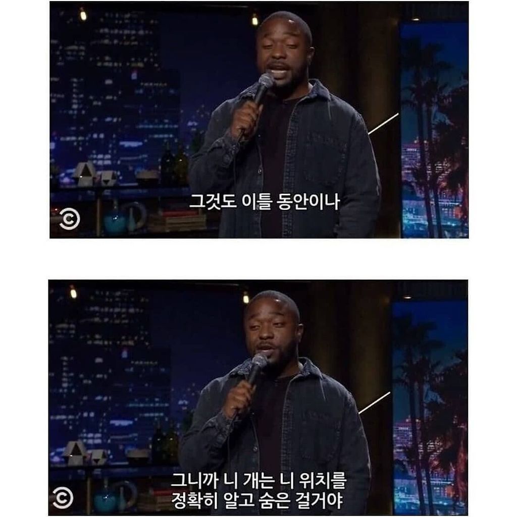 김짤.com_006.jpg