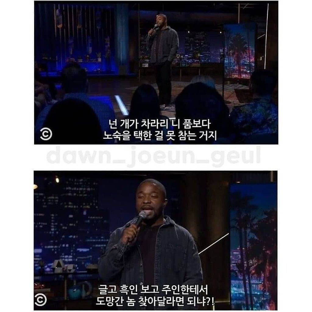 김짤.com_007.jpg