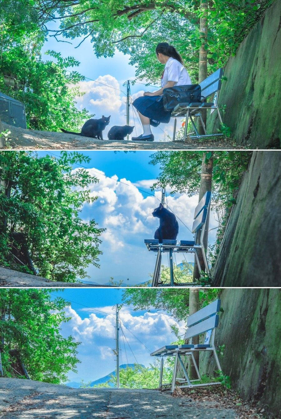 s002.jpg