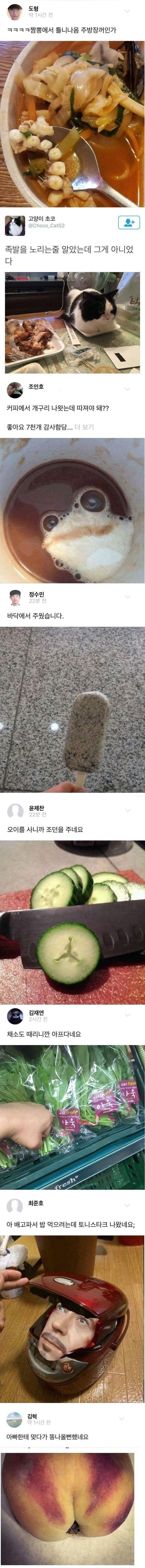 김짤.com_005.png