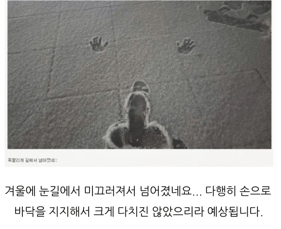 김짤.com_004.png
