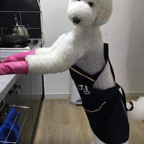 김짤.com_006.jpg