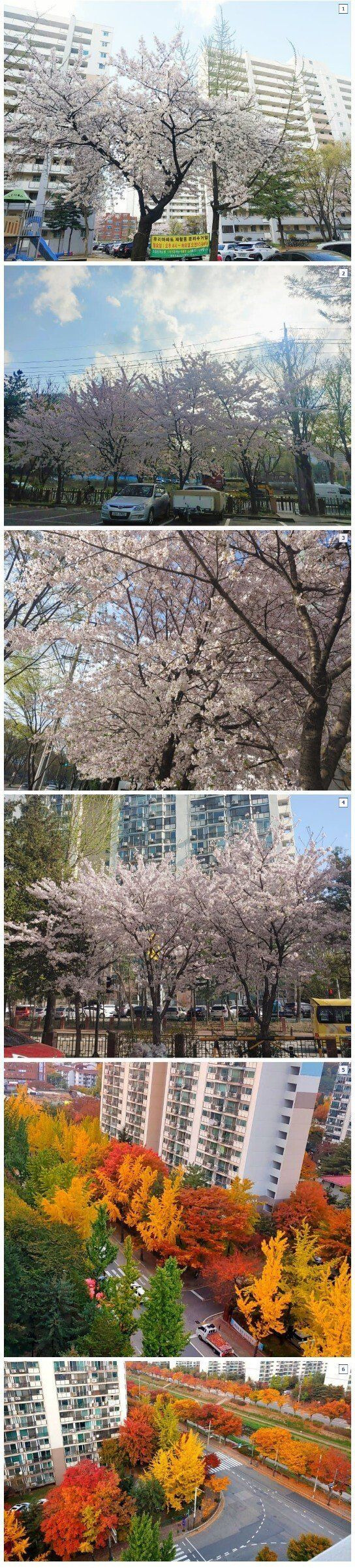 30년 넘은 아파트단지 특.jpg
