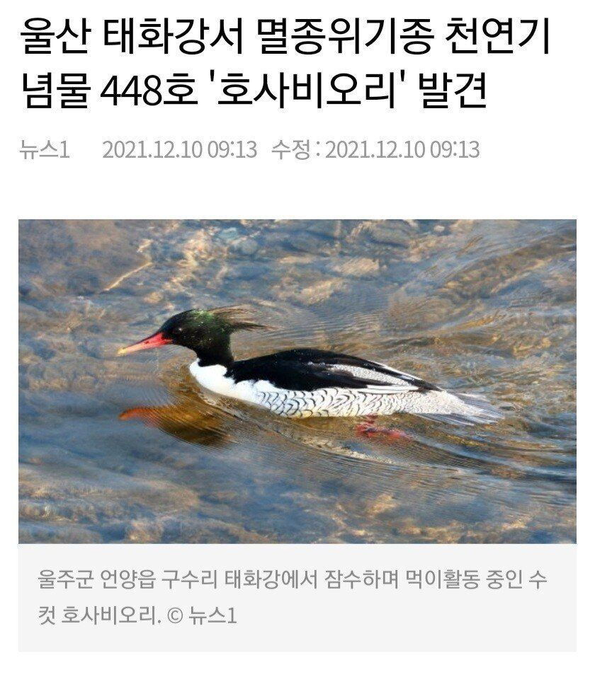 24post.co.kr_001.jpg