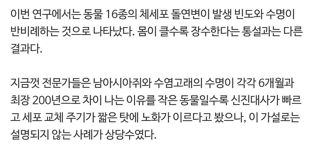 김짤.com_002.jpg