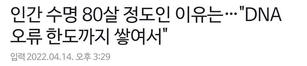 김짤.com_001.jpg