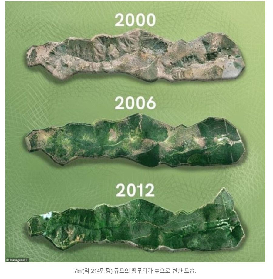 김짤.com_003.jpg