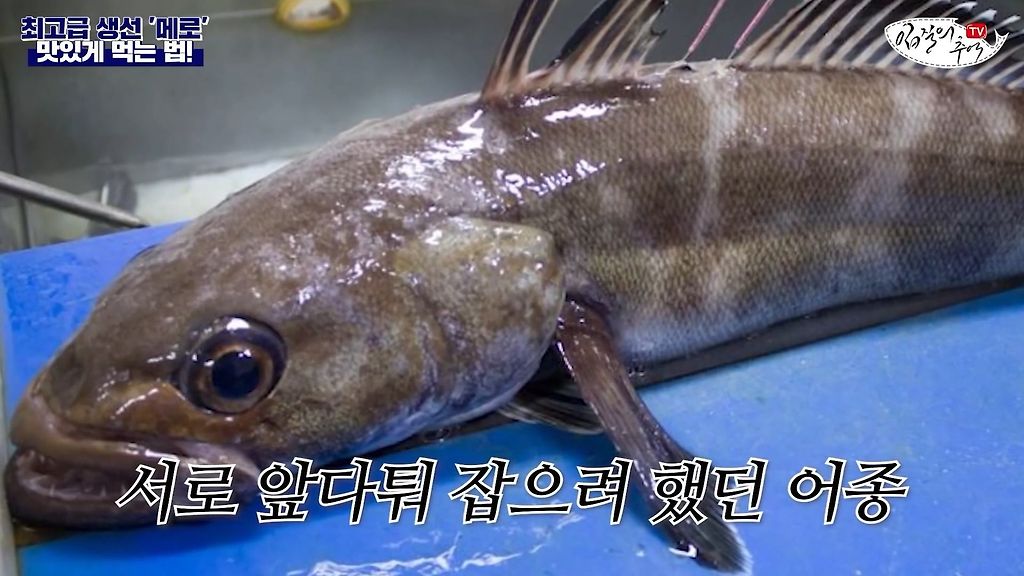 24post.co.kr_010.jpg