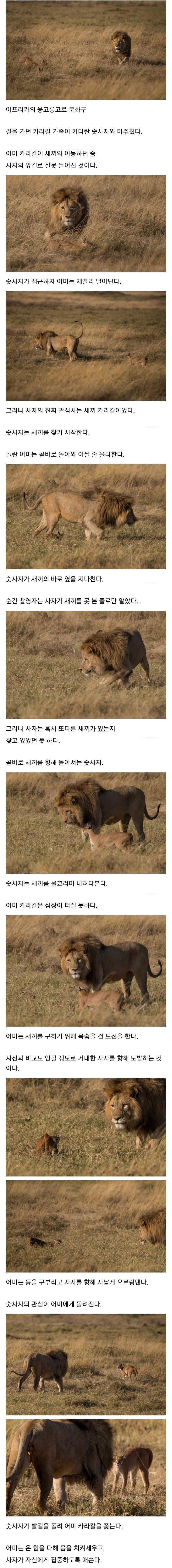 24post.co.kr_001.jpg