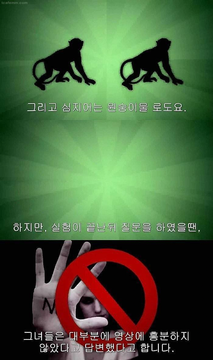 김짤.com_002.png