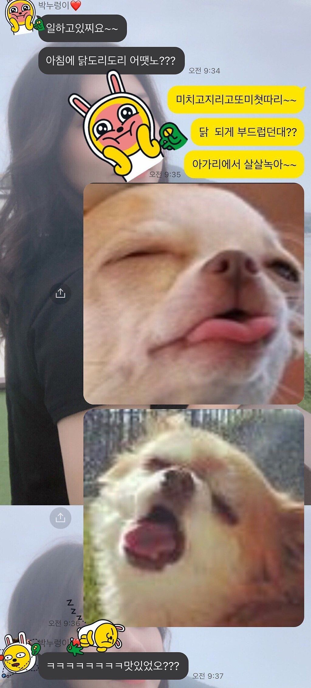 z.jpg