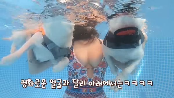 애견 유튜버5.jpg