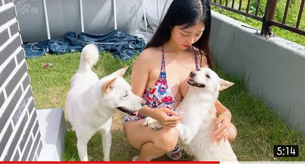 애견 유튜버.jpg