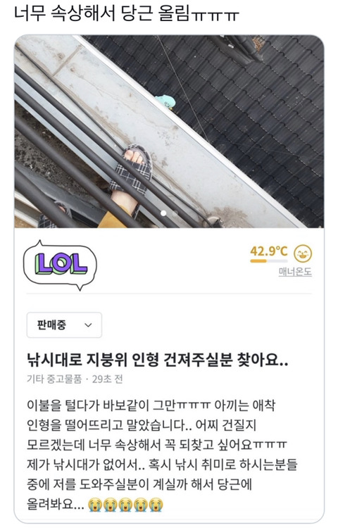 죠르디 구출 대작전 - 꾸르