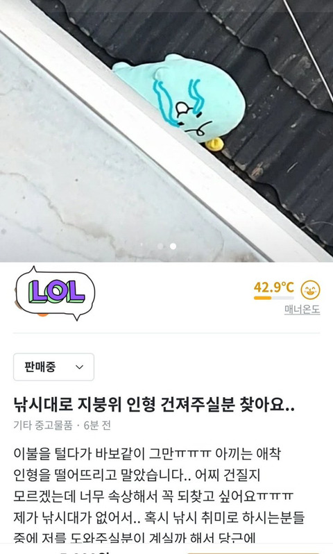 죠르디 구출 대작전 - 꾸르