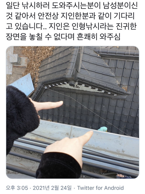 죠르디 구출 대작전 - 꾸르