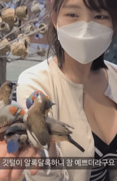 동물원 놀러간 벨벳.gif 동물원 놀러간 벨벳 - 