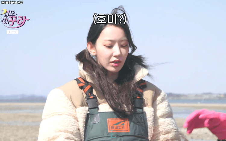 짤티비