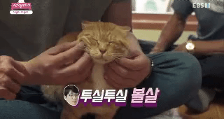  - 꾸르